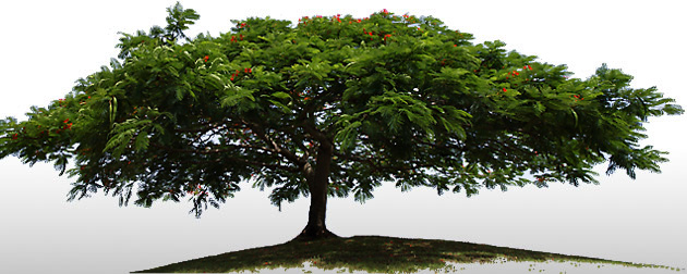 Nottingham Hypnotherapy